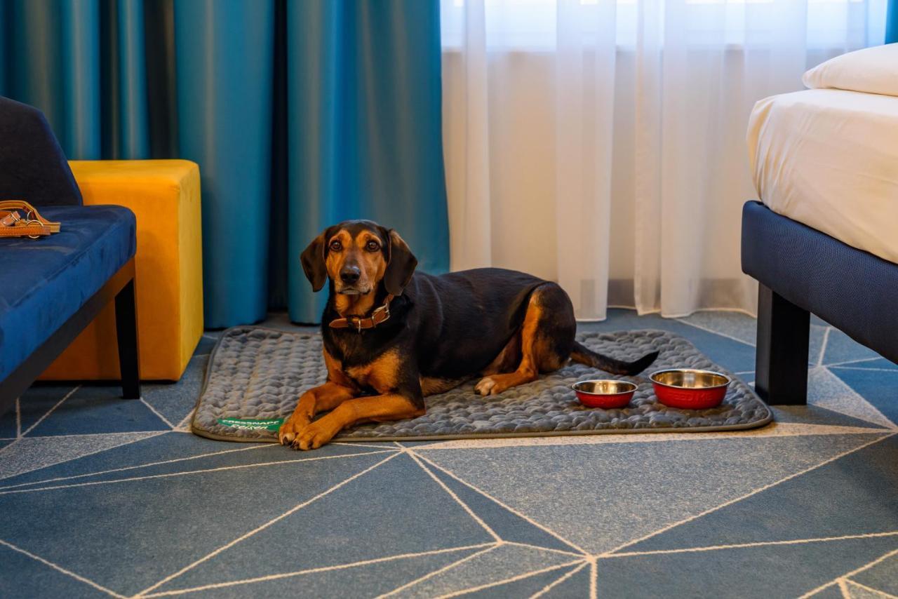Ibis Styles באד רייכנהל מראה חיצוני תמונה